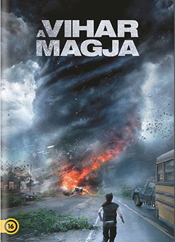 A vihar magja