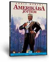 Amerikába jöttem