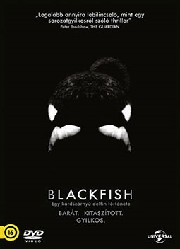 Blackfish - Egy kardszárnyú delfin története