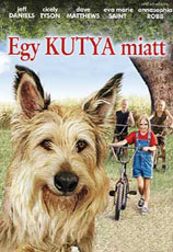 Egy kutya miatt