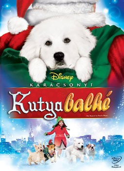 Karcsonyi kutyabalh