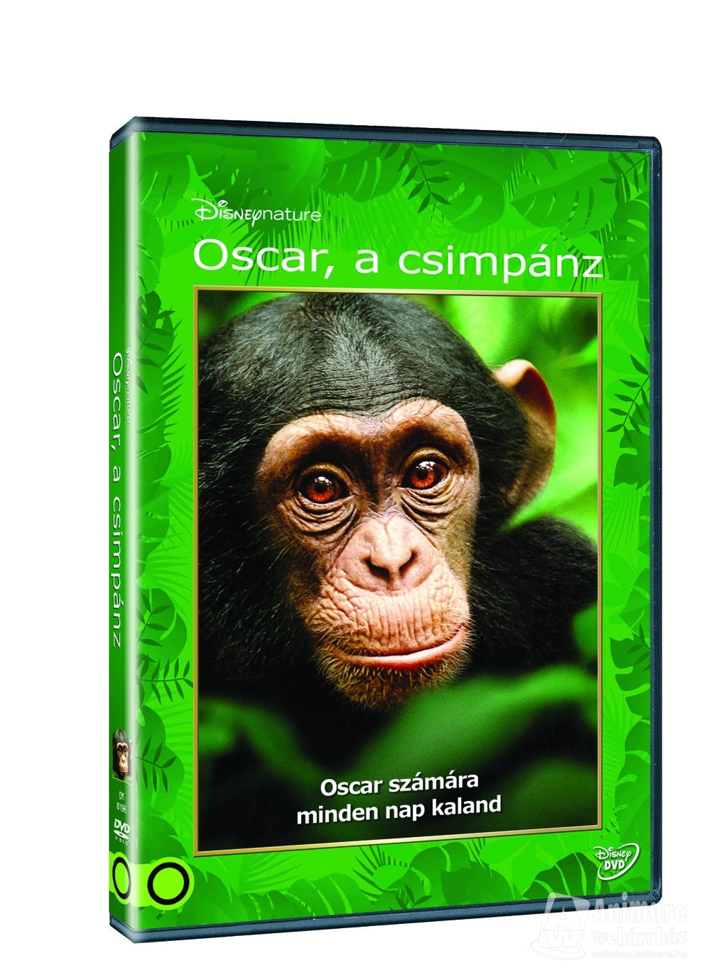 Oscar, a csimpánz