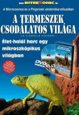 A termeszek csodálatos világa
